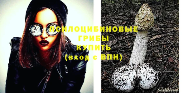 Альфа ПВП Армянск