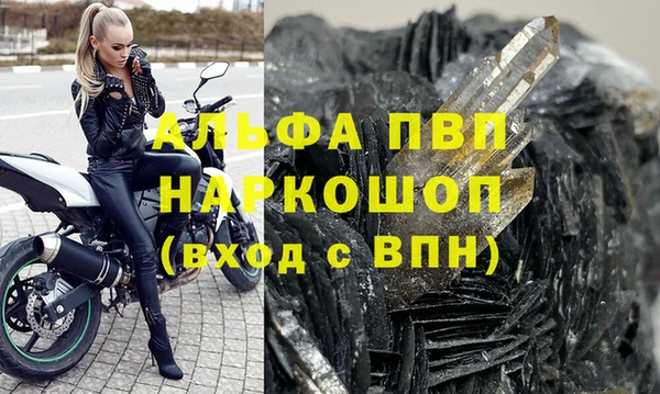 хмурый Арсеньев