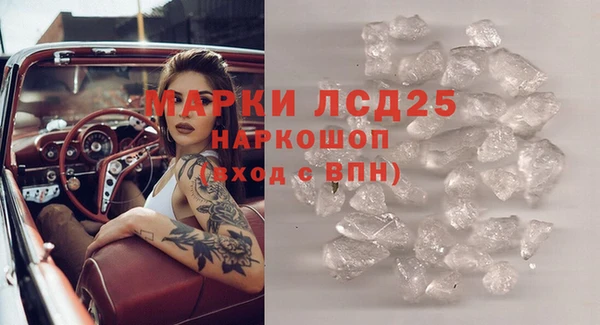 хмурый Арсеньев