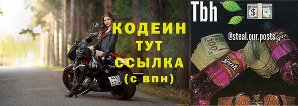 хмурый Арсеньев