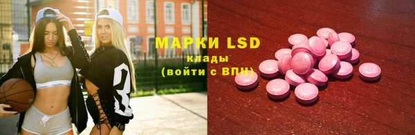 хмурый Арсеньев