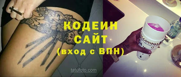 хмурый Арсеньев