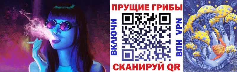 Галлюциногенные грибы мицелий  цена   Дорогобуж 